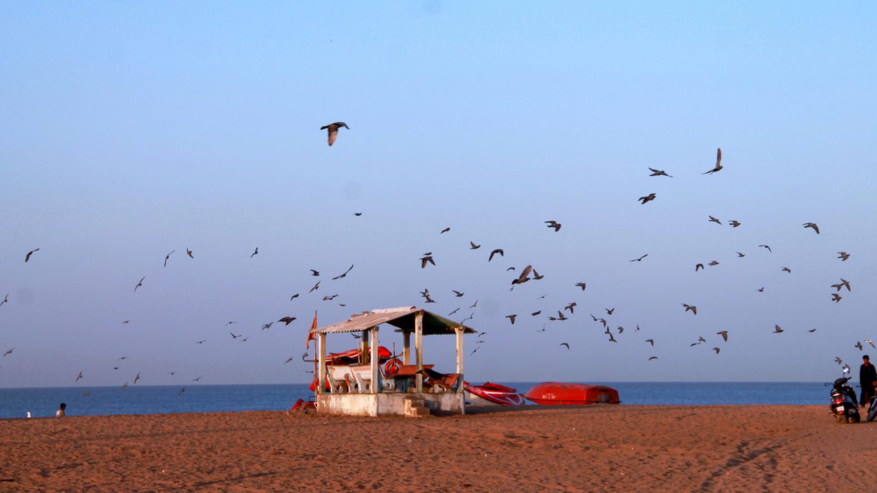 Mandvi Beach & Kalo Dungar